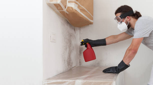 Professional Mold Inspection And Testing technician working in Hanscom AFB, MA